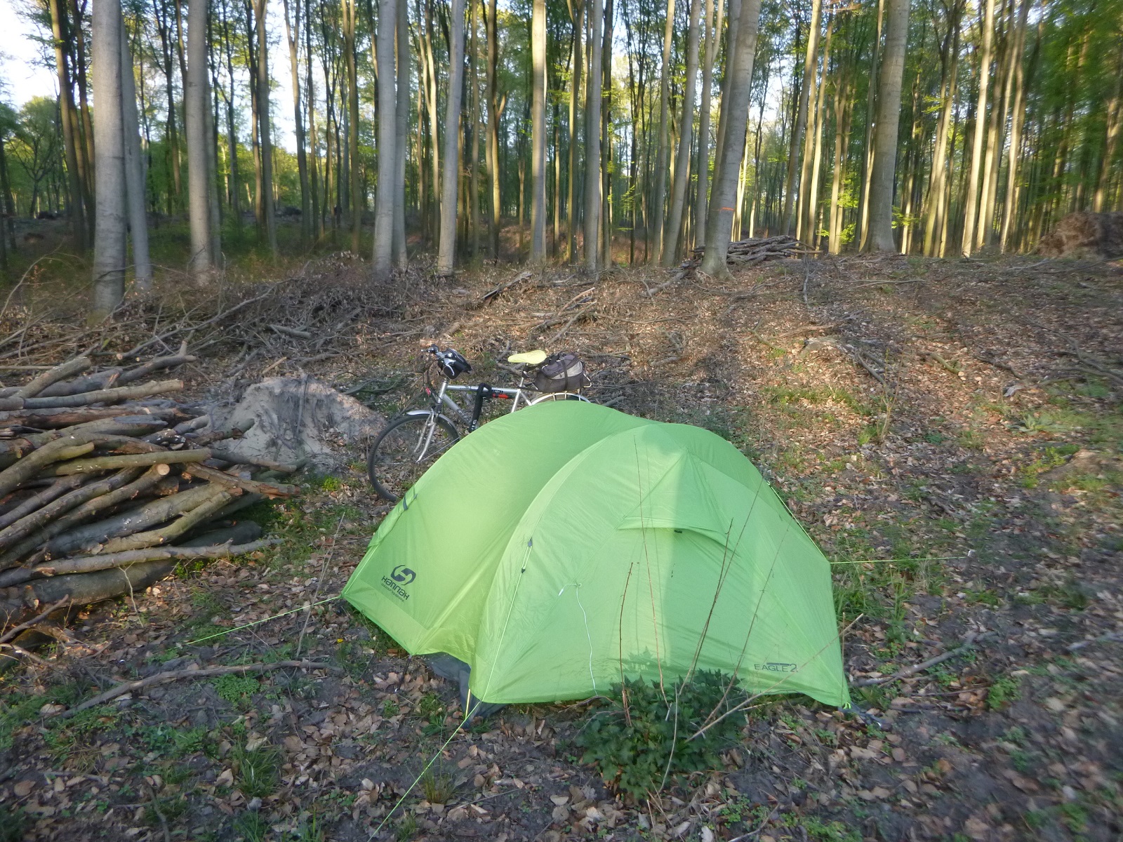 P1290791.JPG