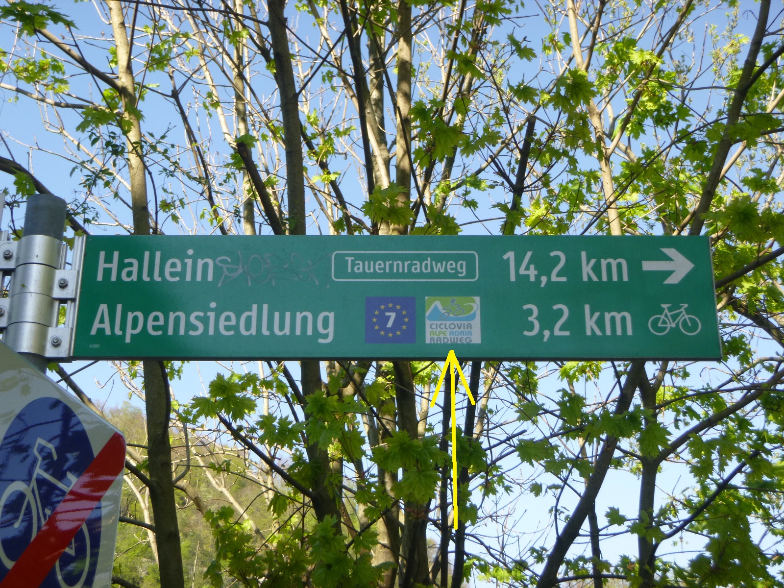 P1290939.JPG