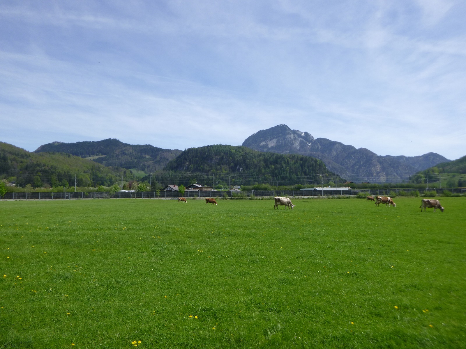 P1300004.JPG