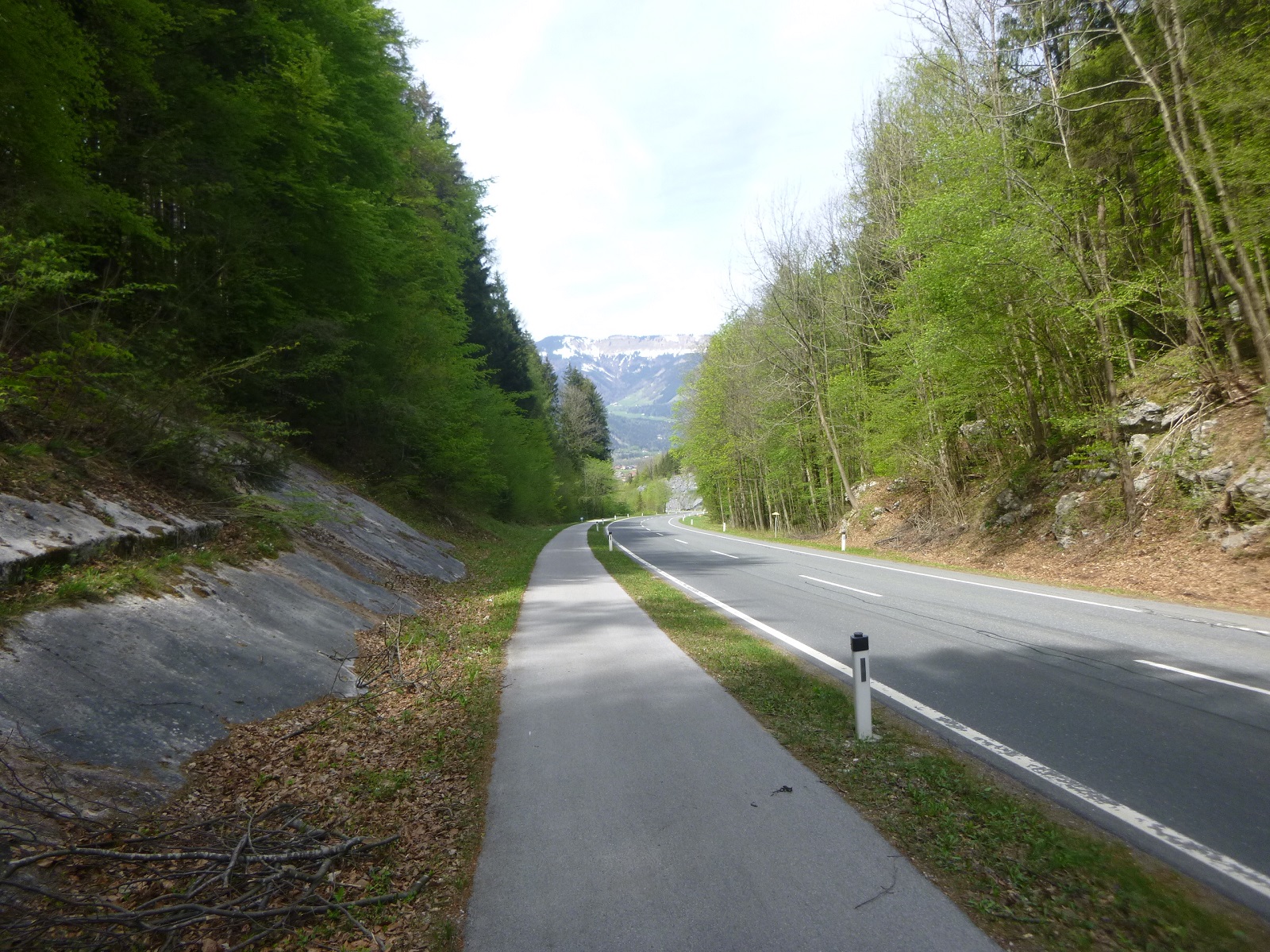 P1300020.JPG