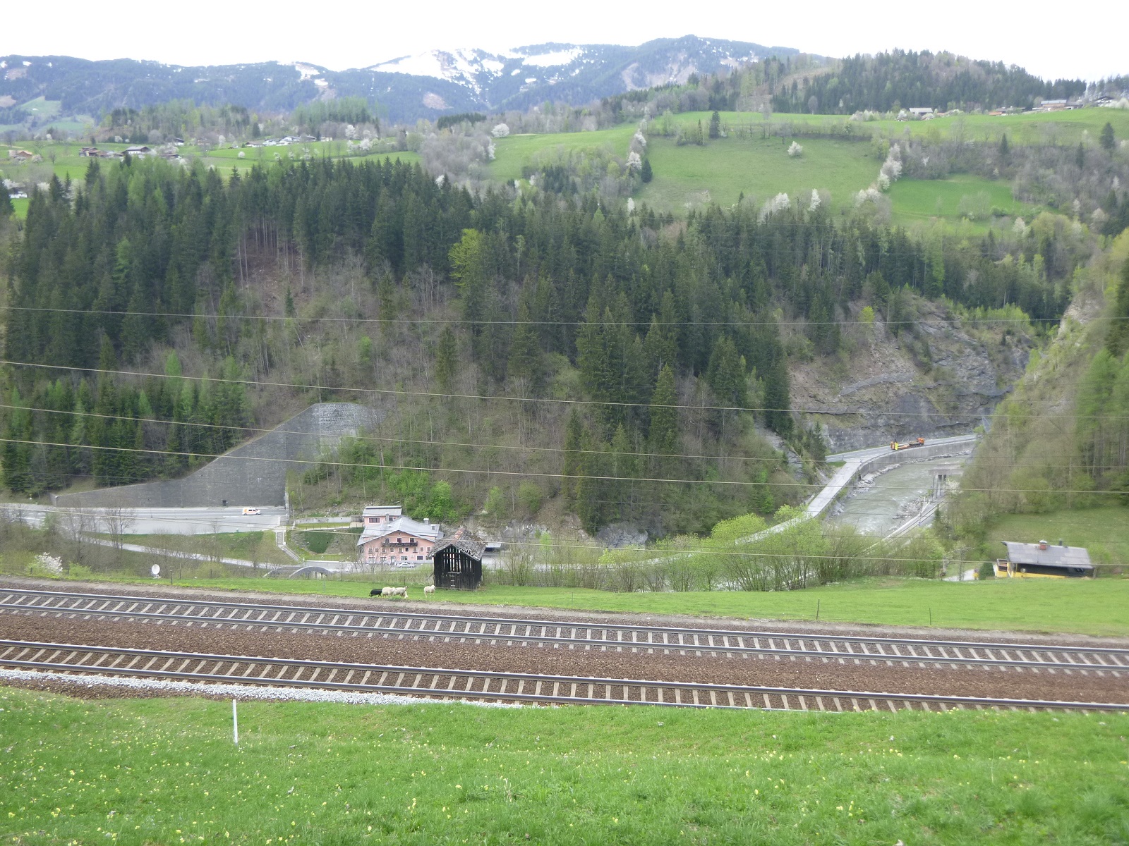 P1300214.JPG