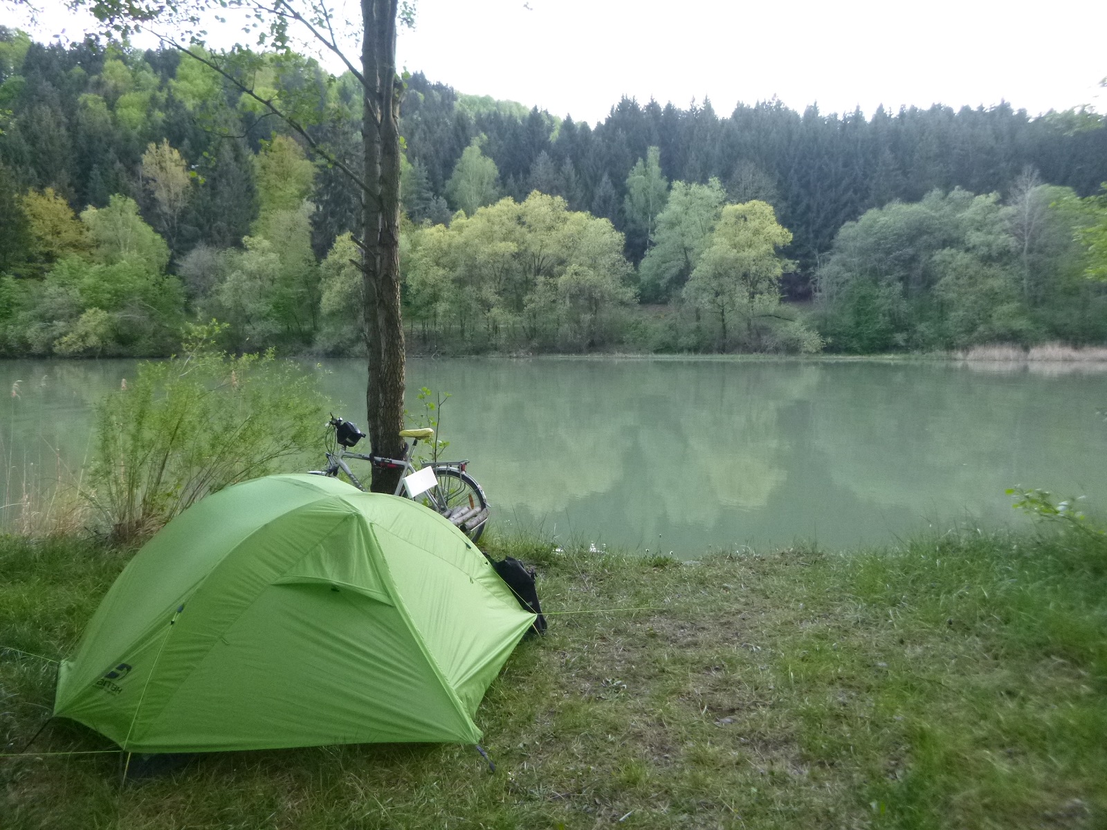 P1300656.JPG