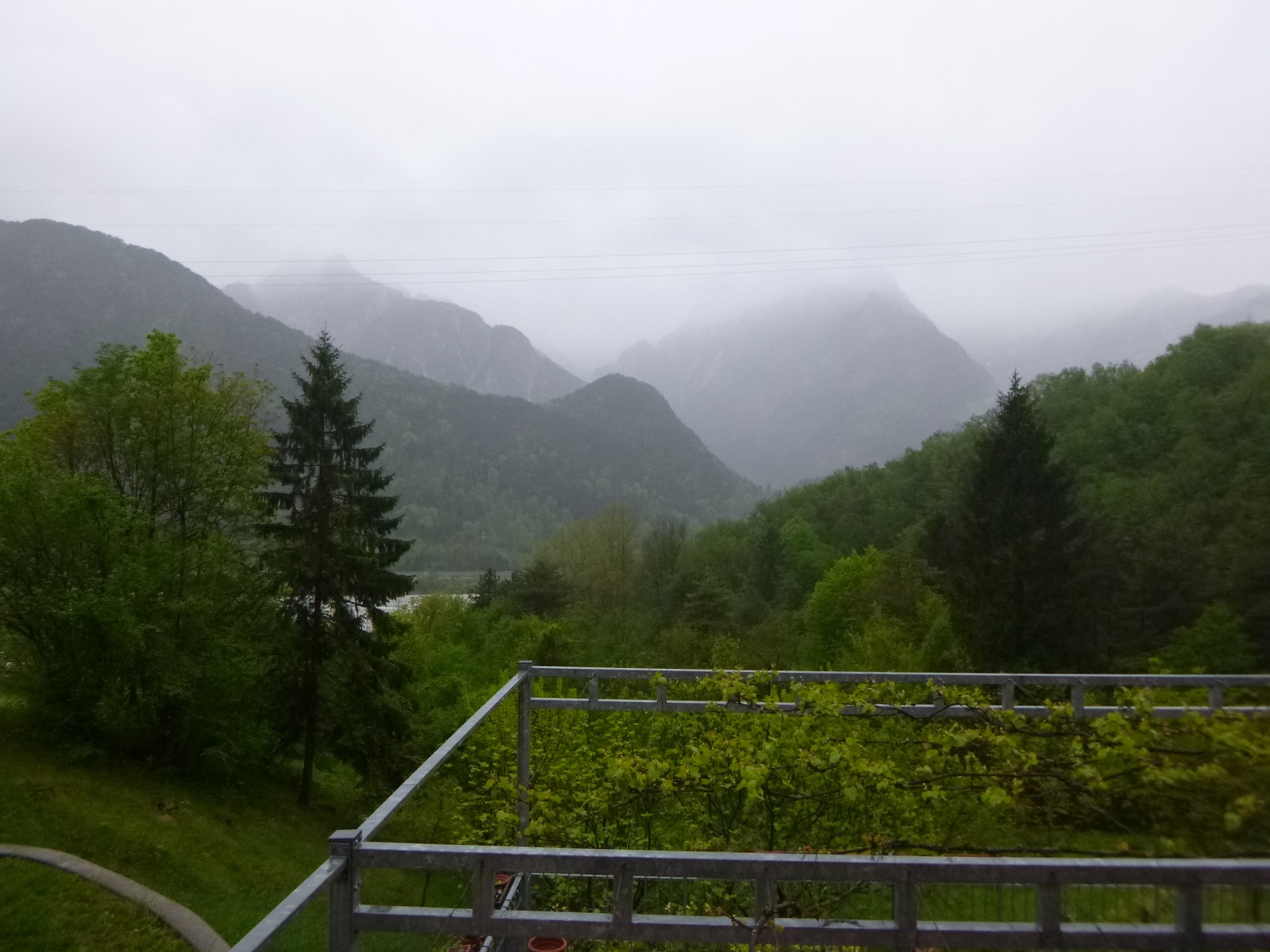 P1310071.JPG