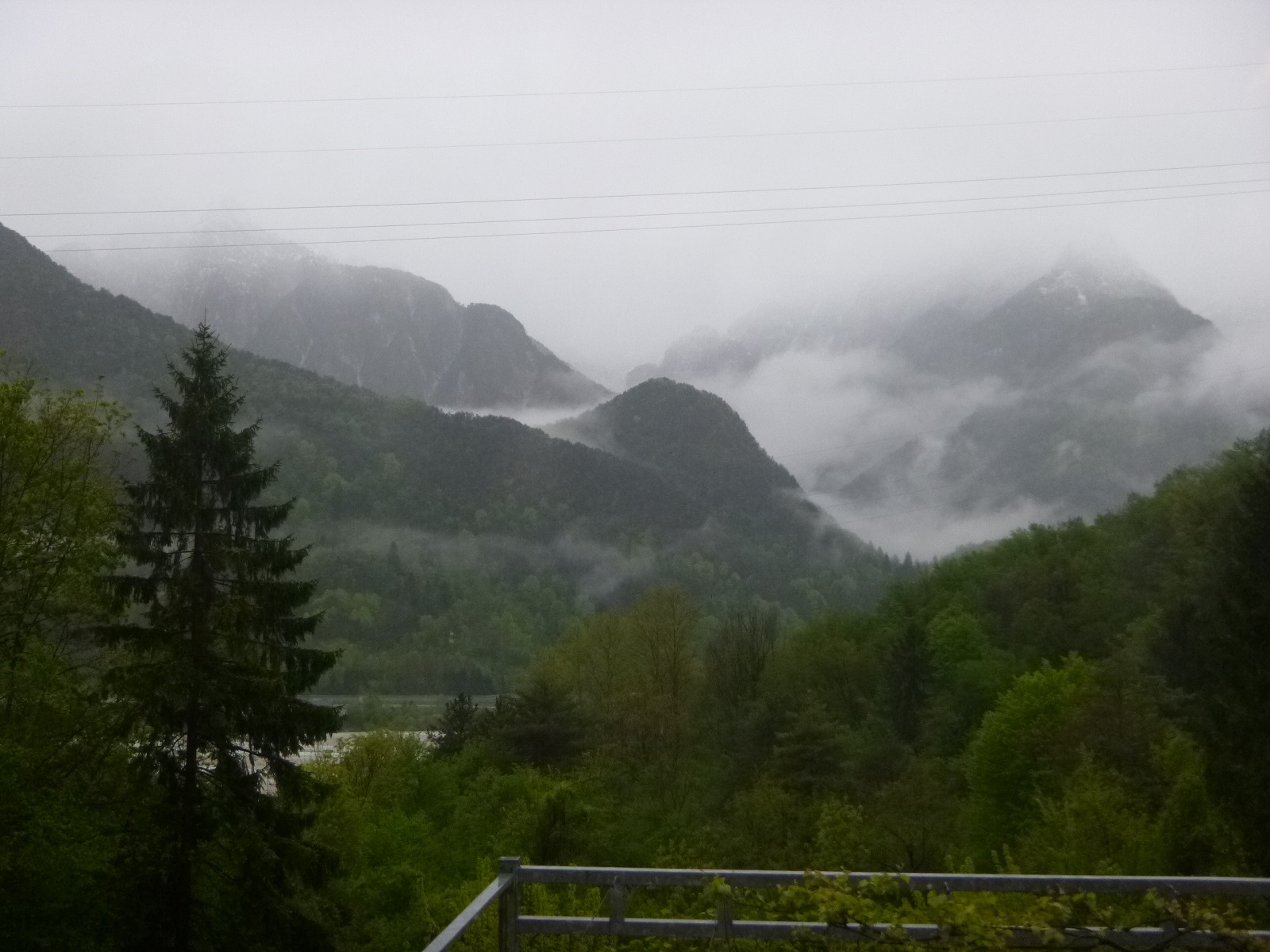 P1310077.JPG