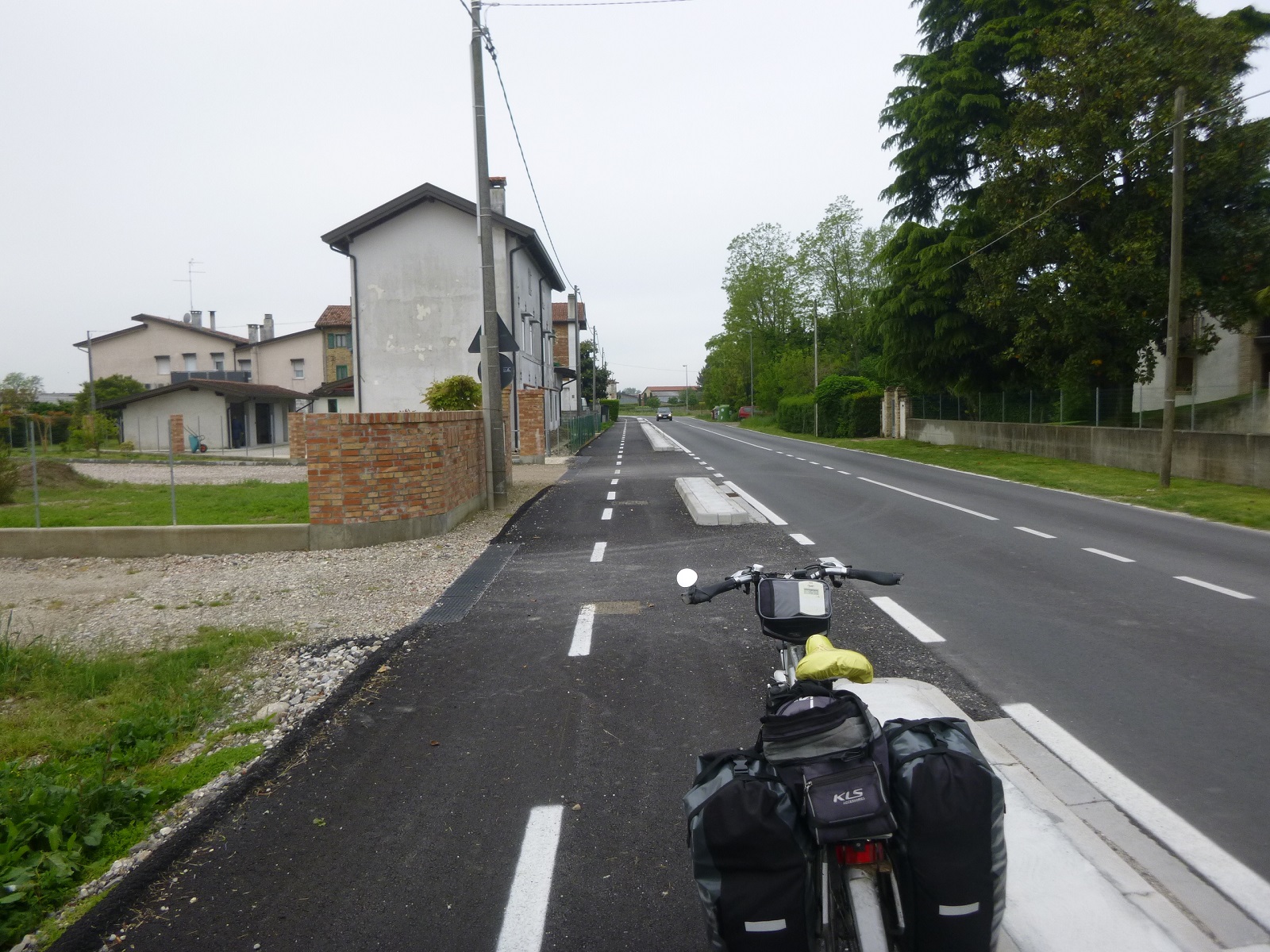 P1310141.JPG