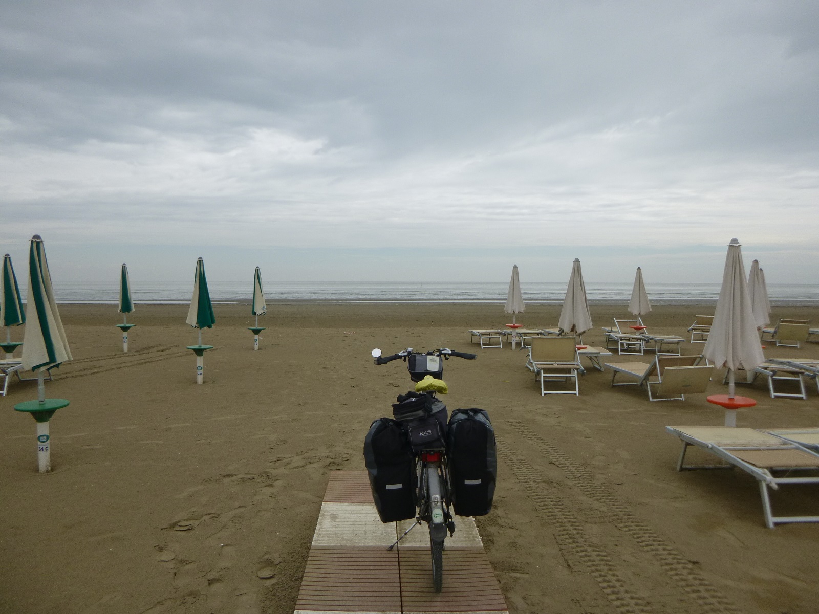 P1310156.JPG