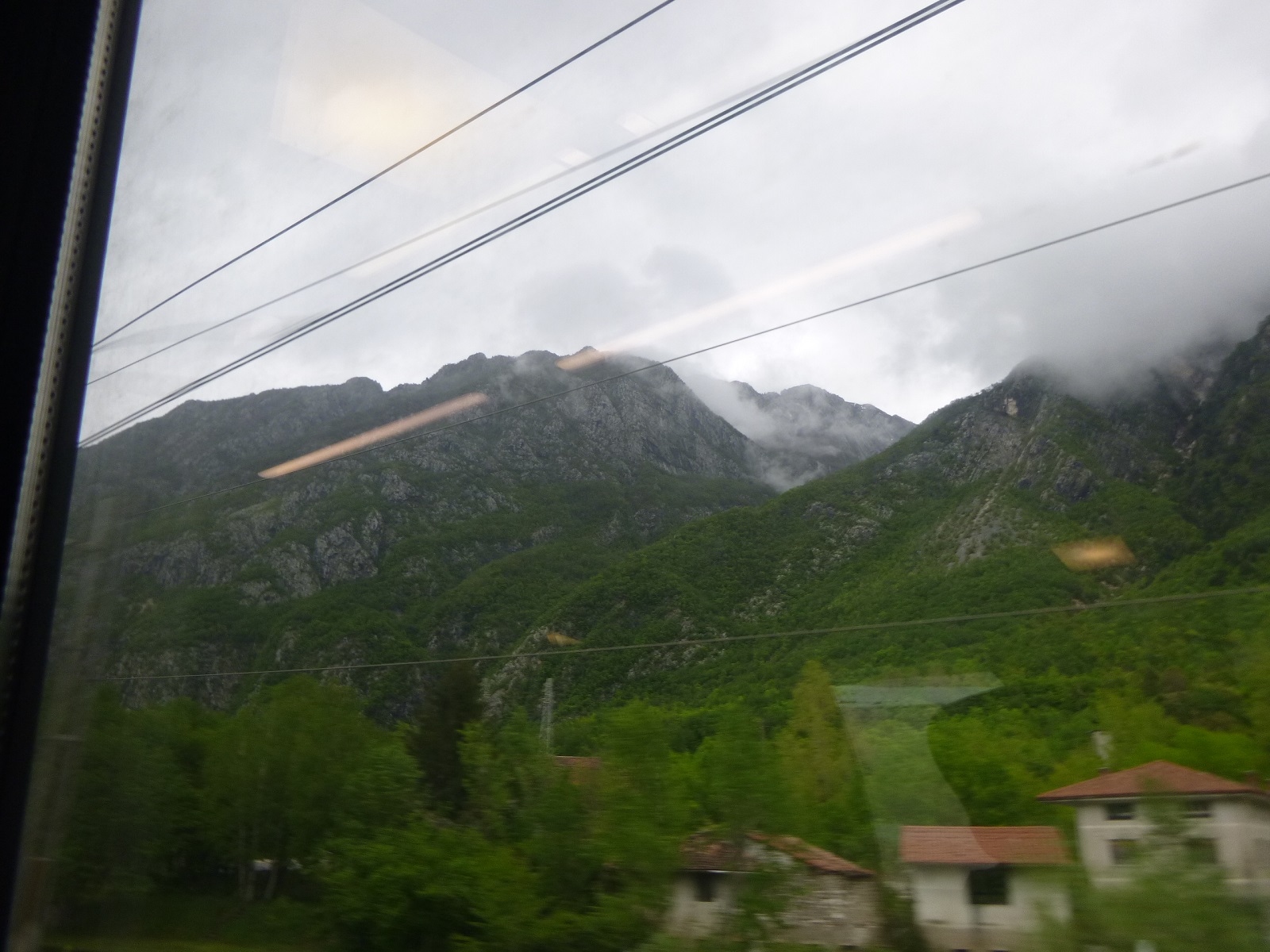 P1310541.JPG