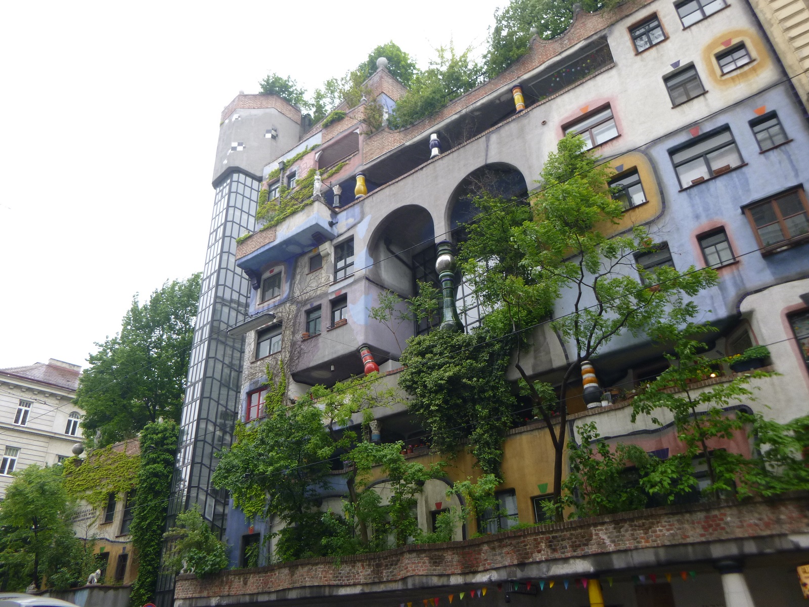 P1310560.JPG