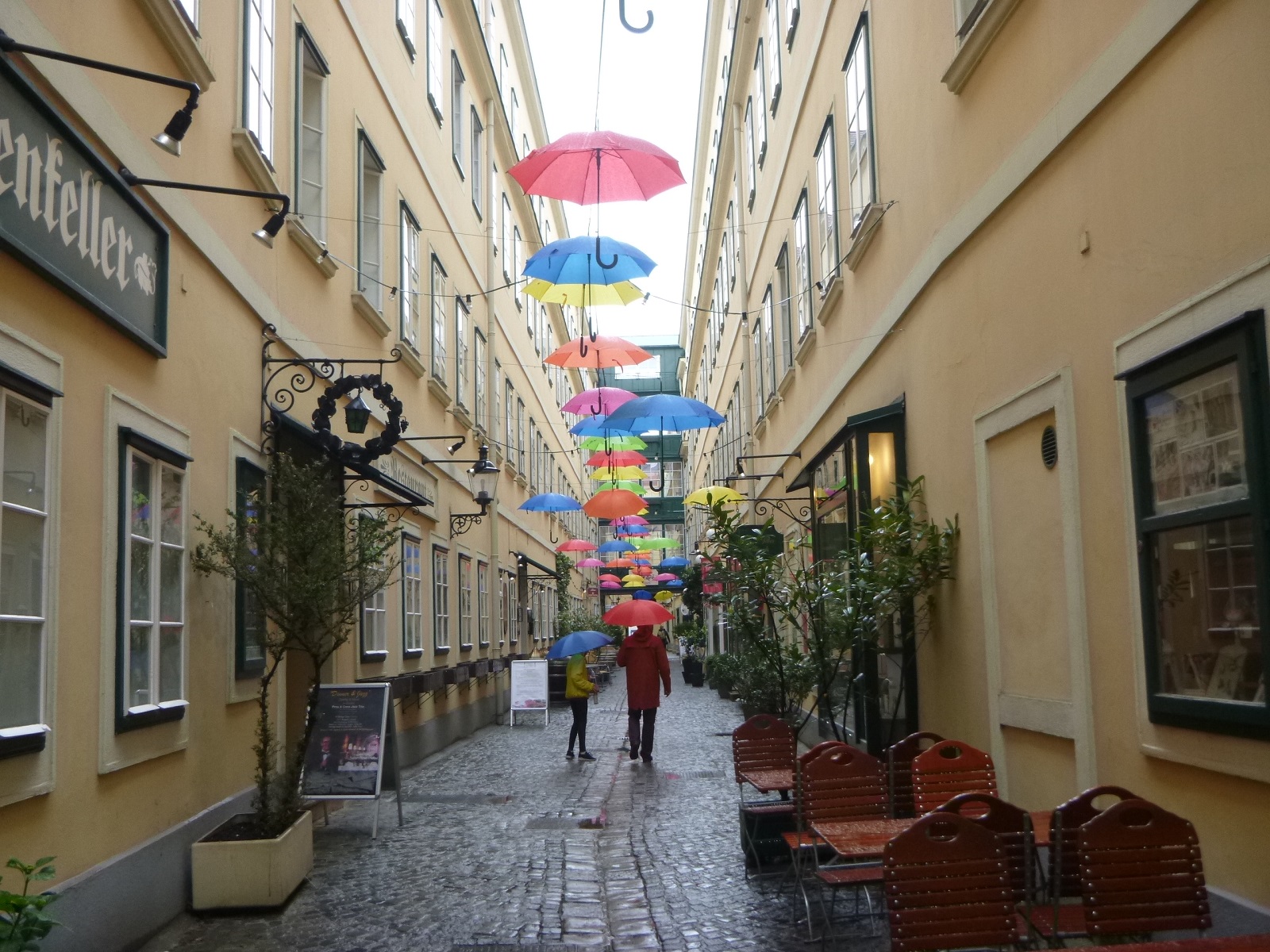P1310566.JPG
