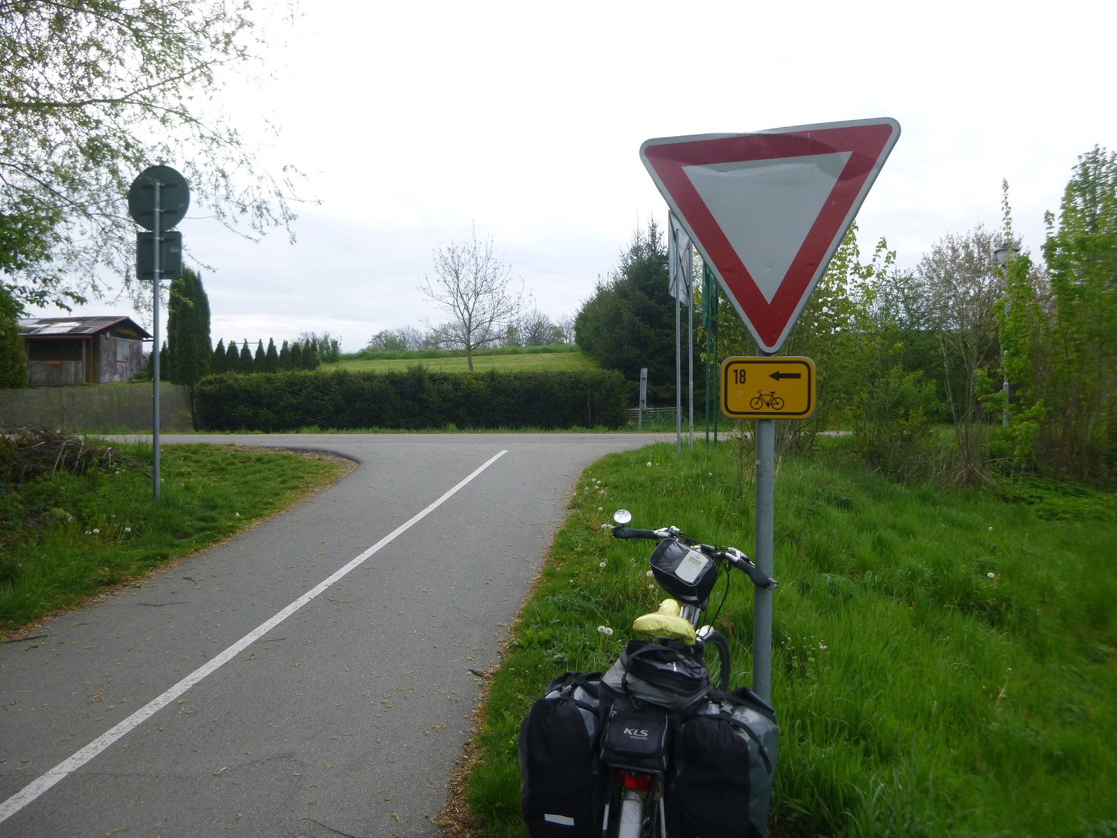 P1310644.JPG
