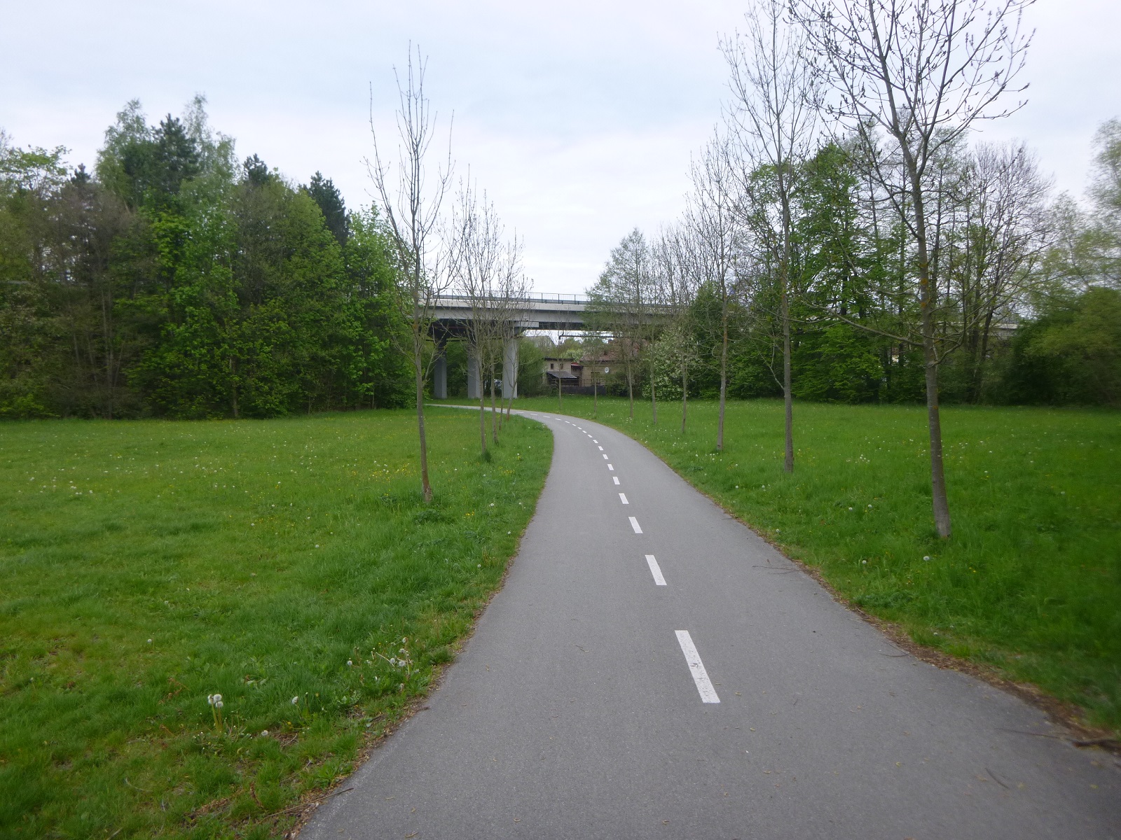 P1310645.JPG