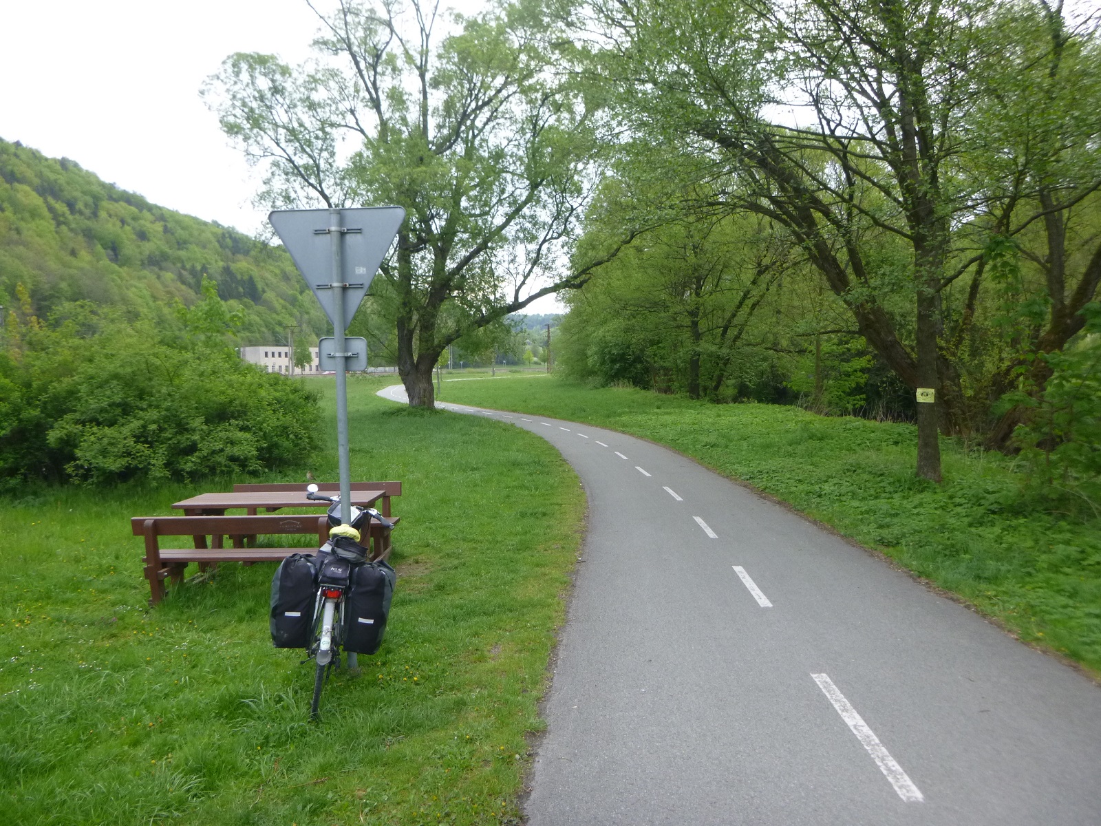 P1310647.JPG