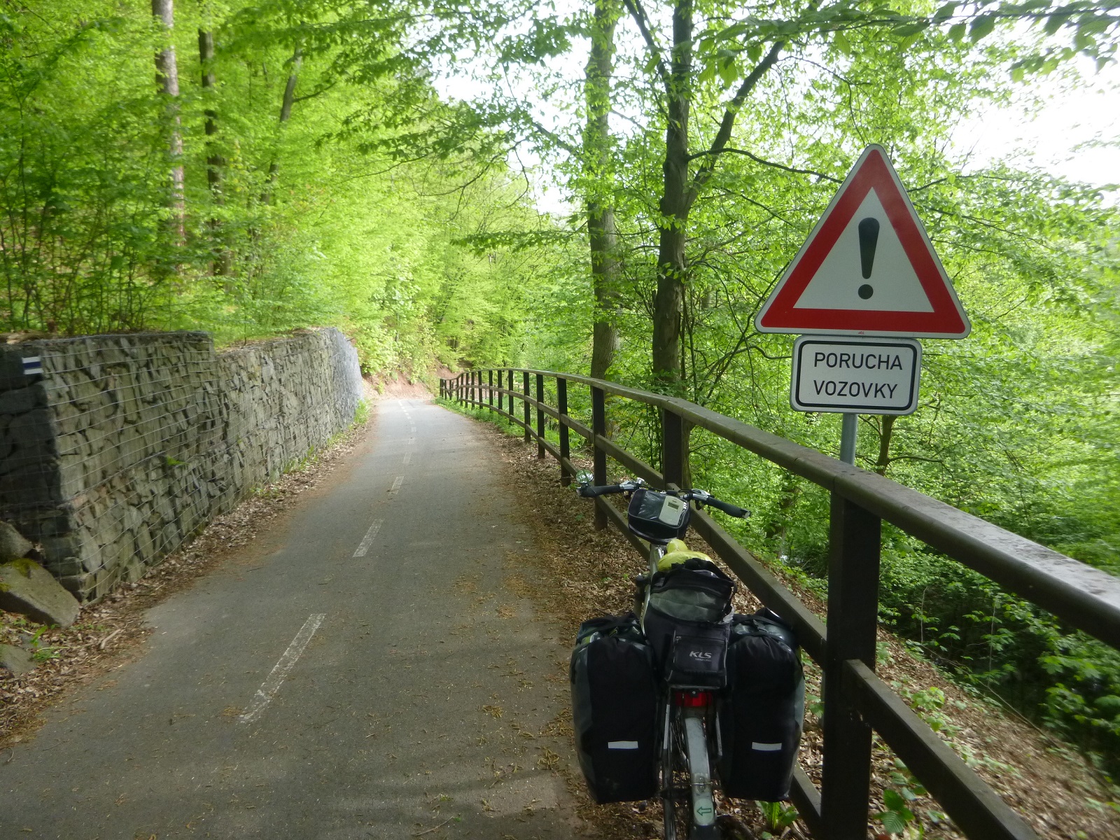 P1310662.JPG