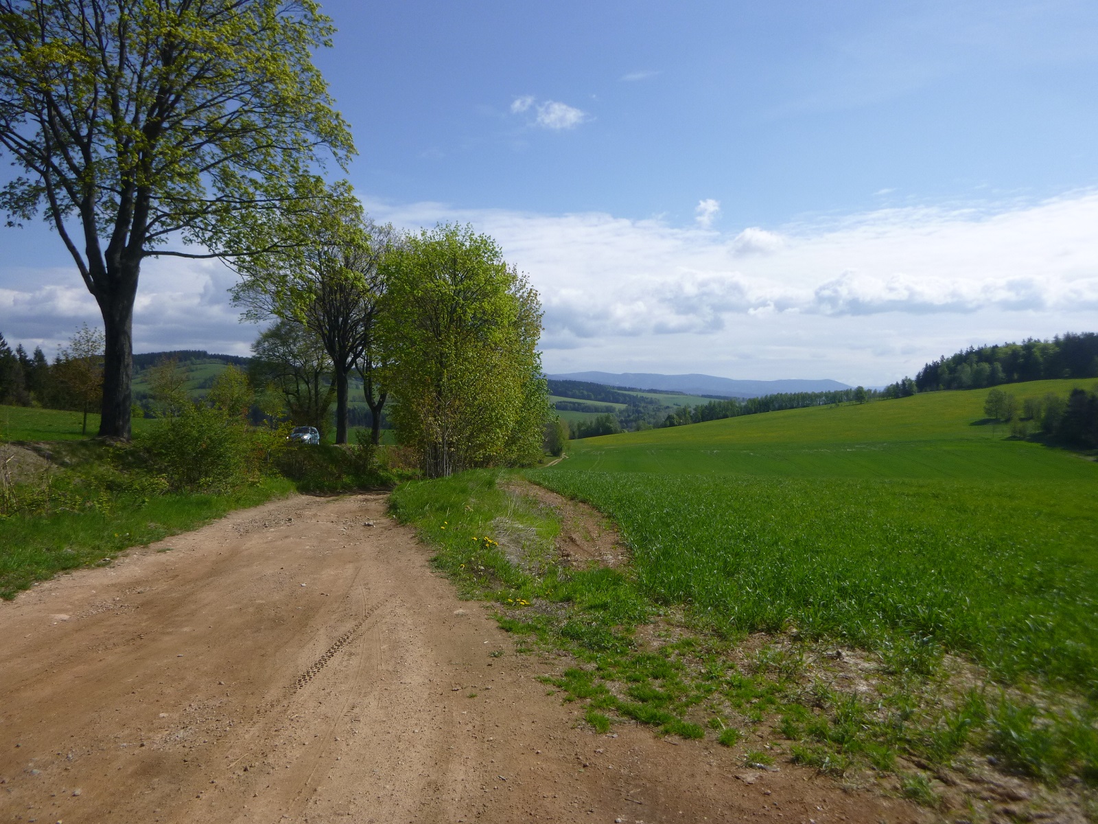P1310673.JPG
