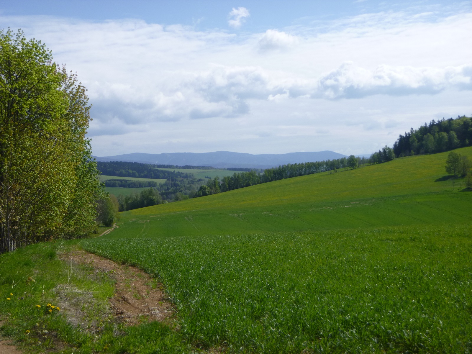 P1310676.JPG