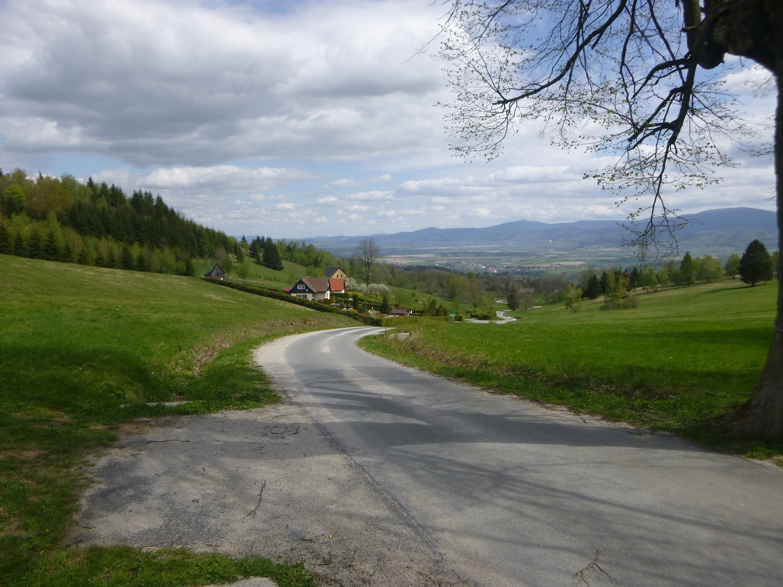 P1310679.JPG