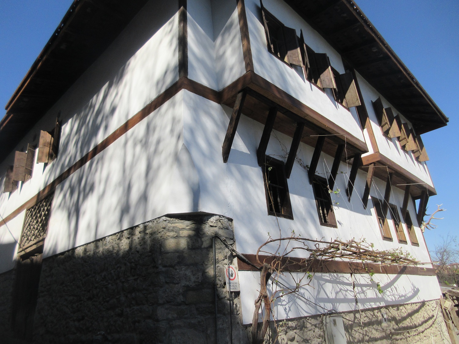IMG_7189.JPG