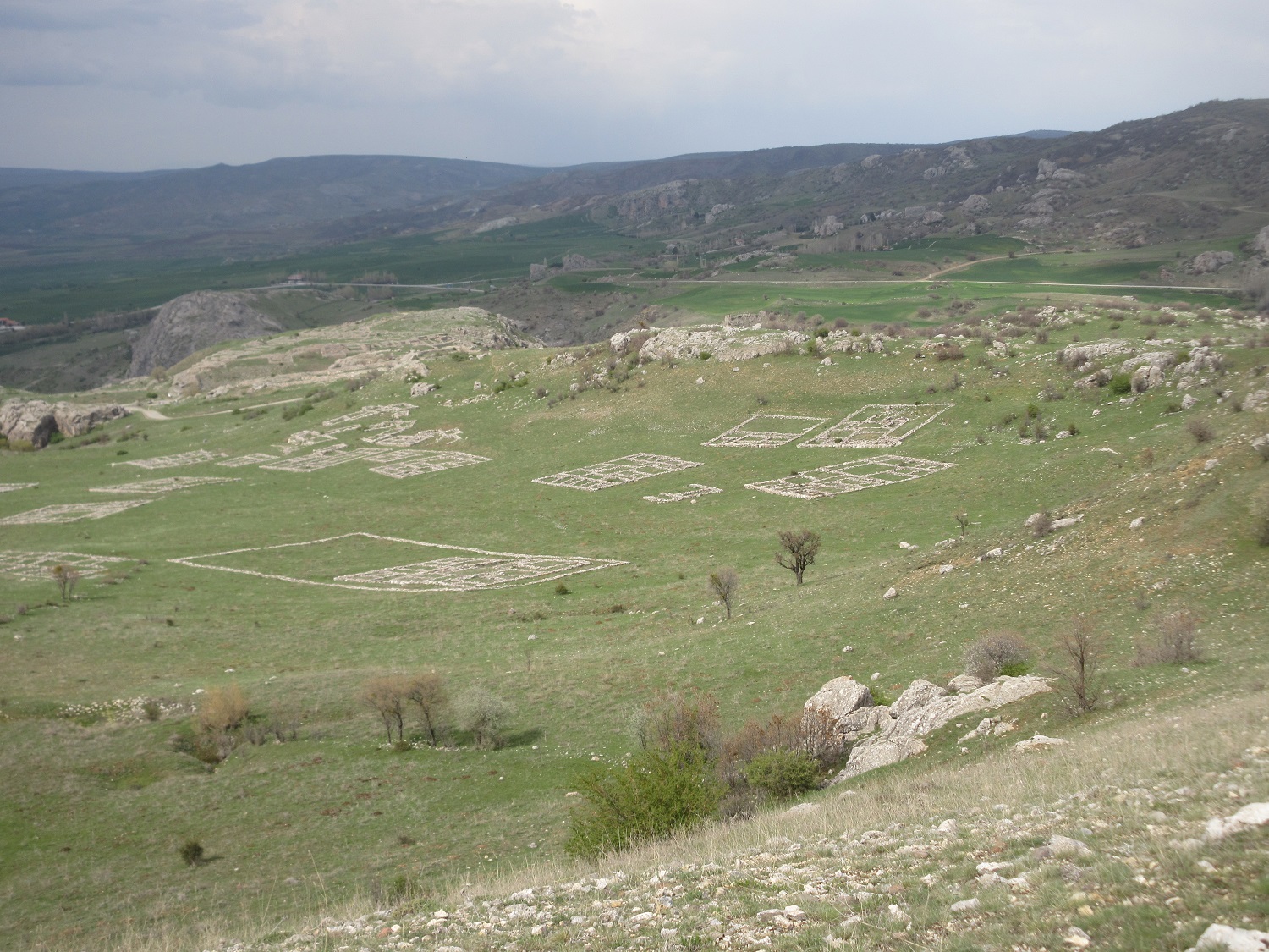 IMG_7266.JPG