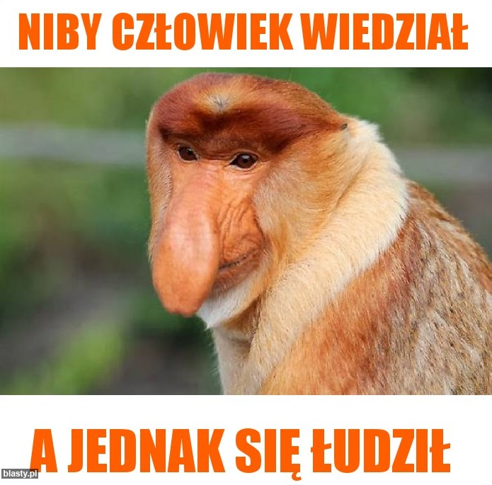 comment_gZaOE0sR05KWmwIGbl3kogzvqIvWS5pc.jpg