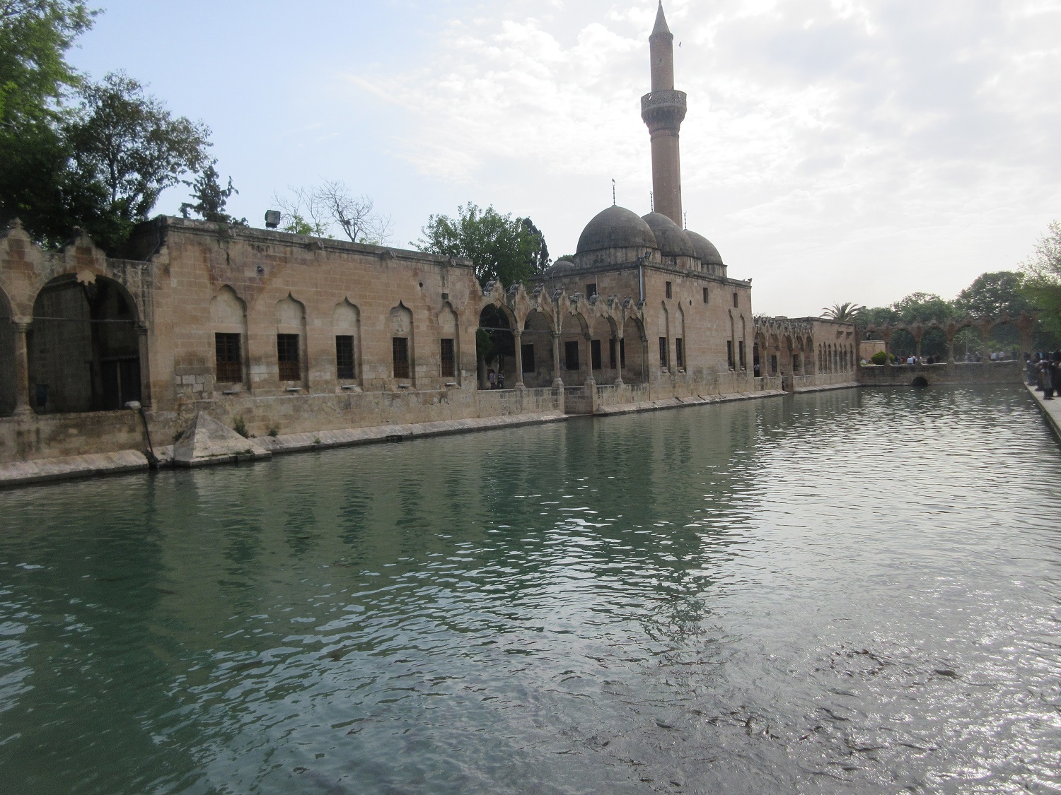 IMG_7391.JPG