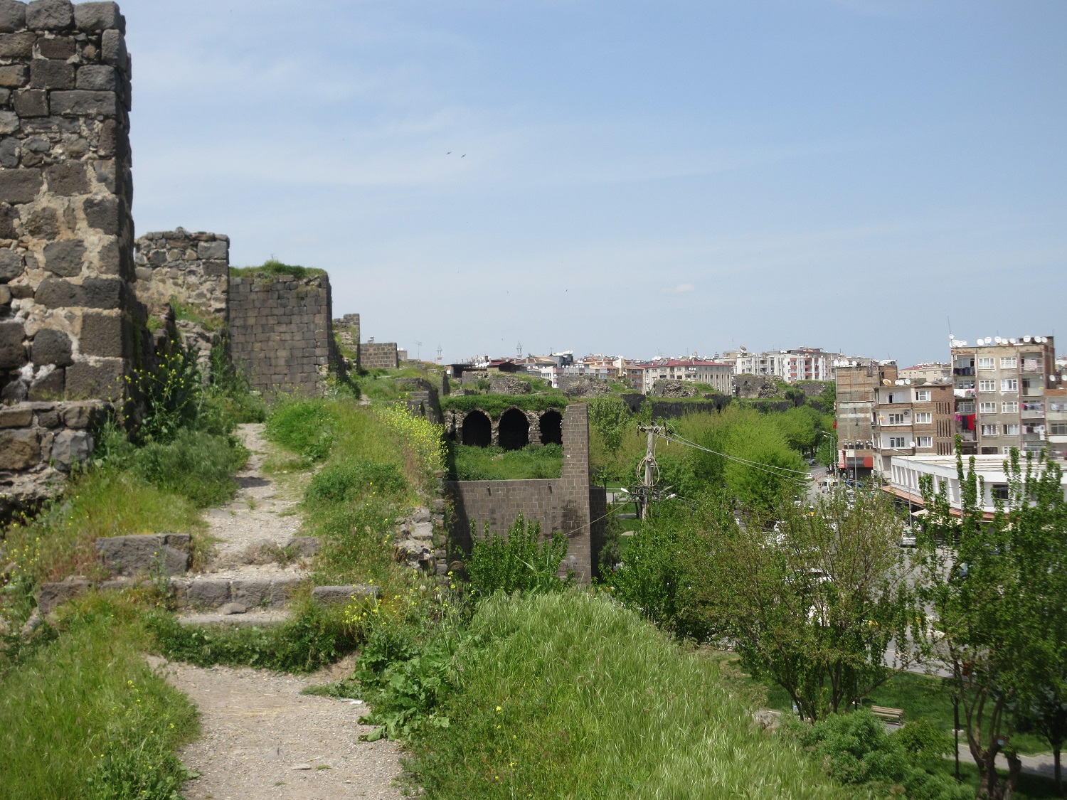 IMG_7423.JPG