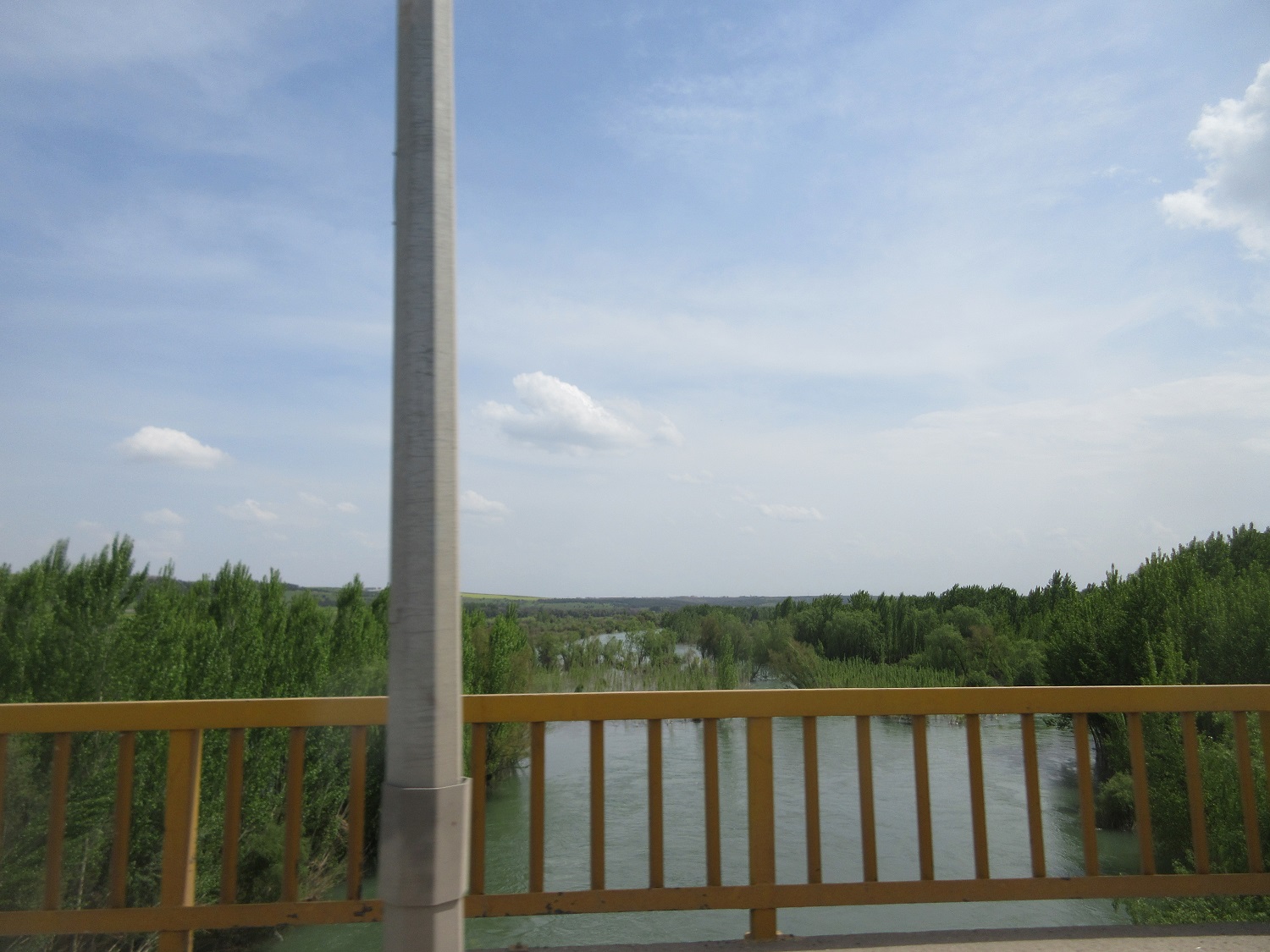IMG_7445.JPG
