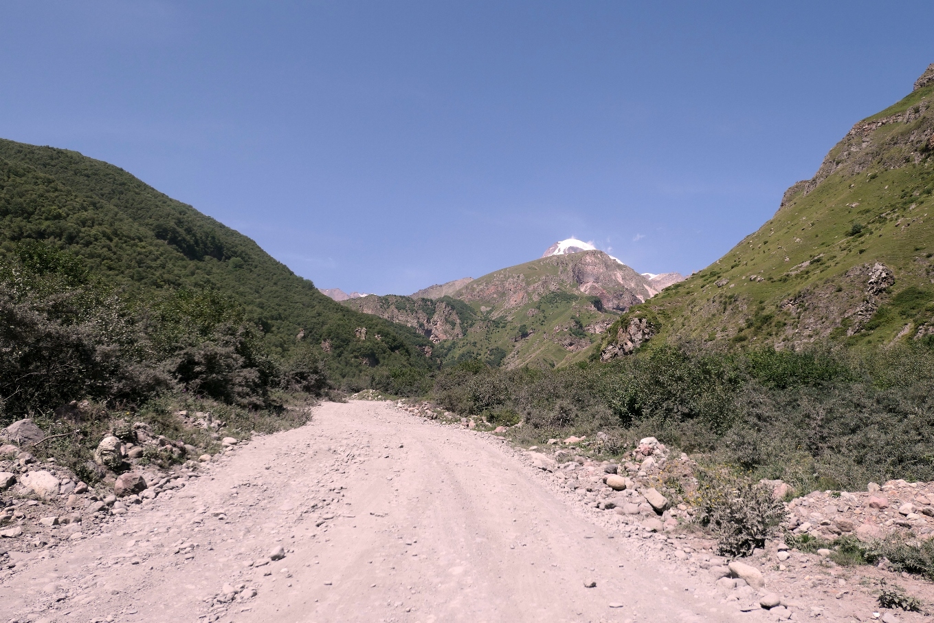 P1000099.JPG
