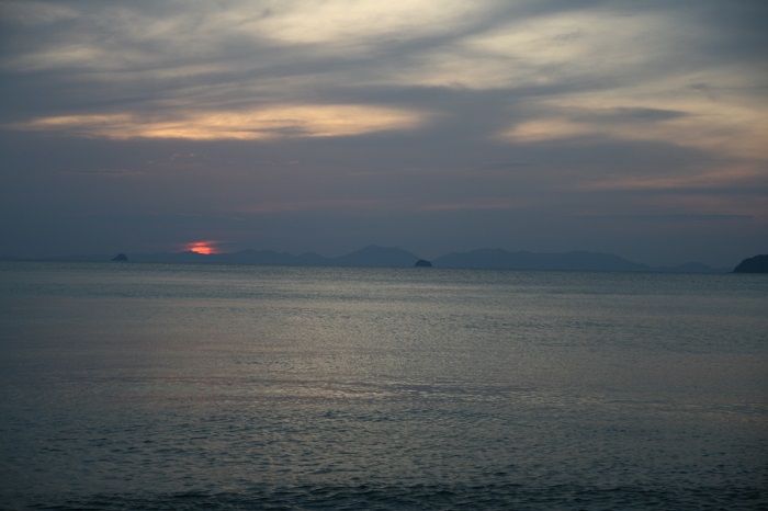 IMG_5911.JPG