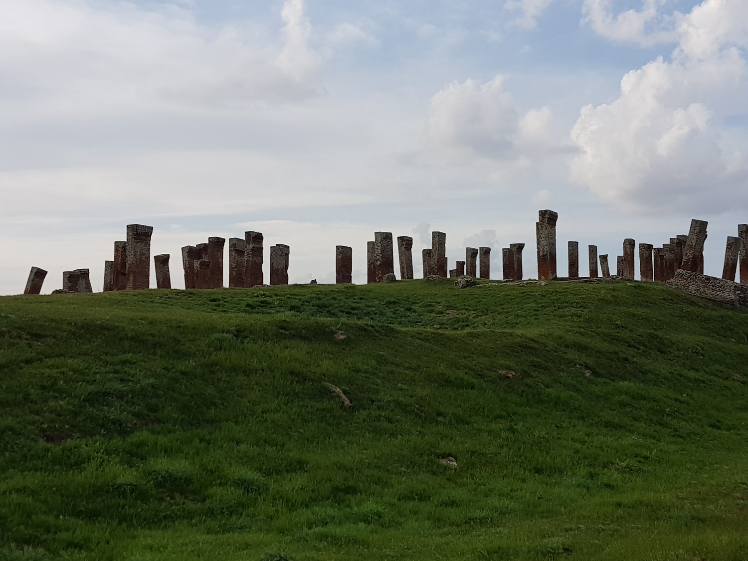 20190501_174206.jpg