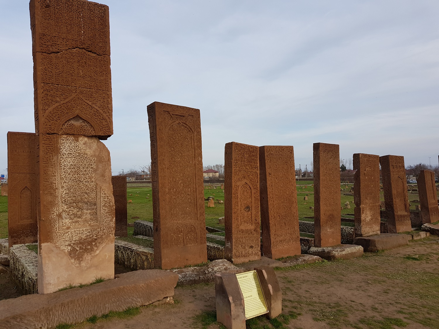 20190501_175704.jpg