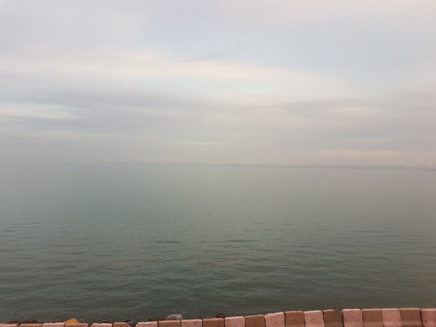 20190501_185126.jpg