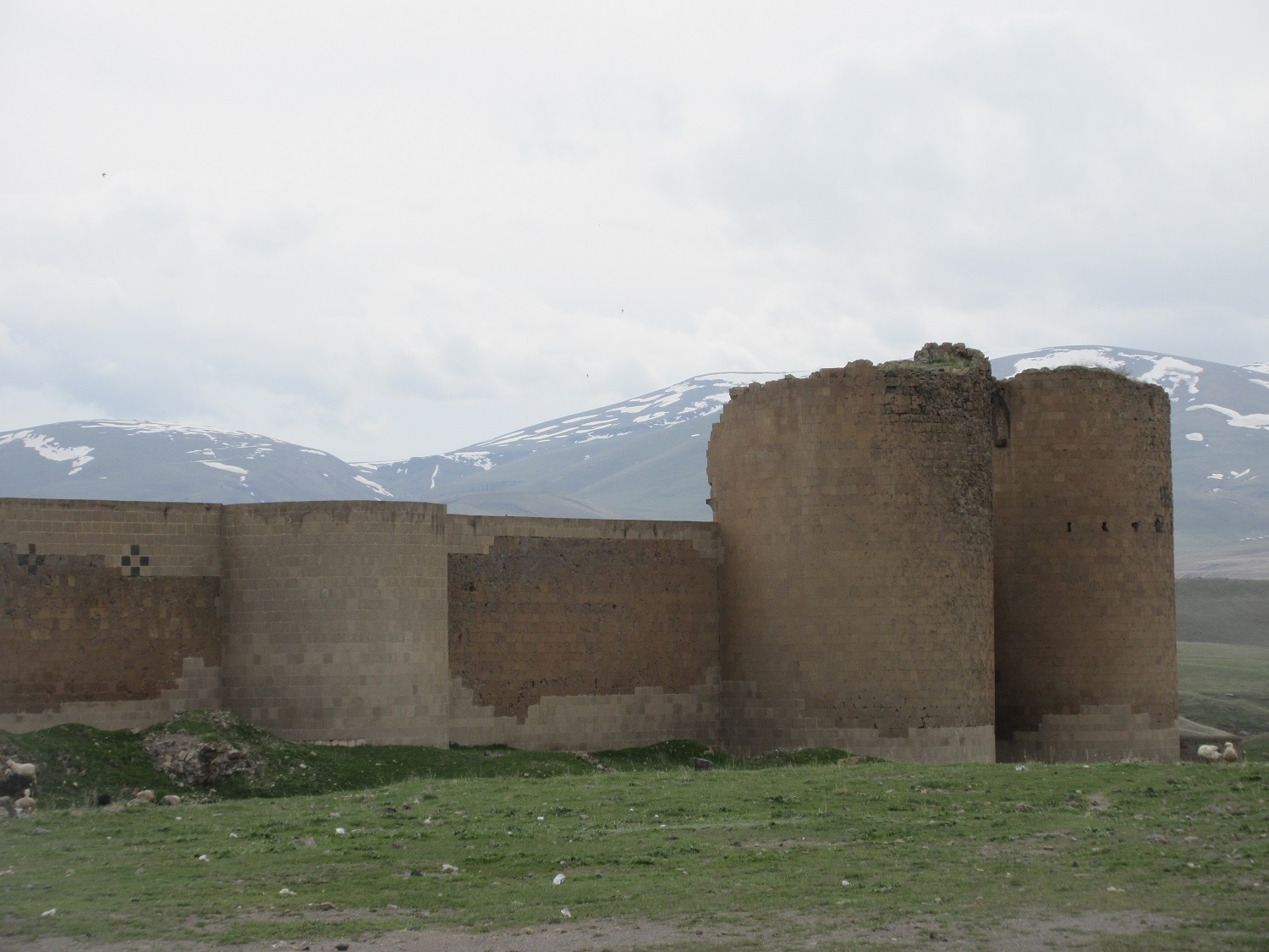 IMG_7492.JPG