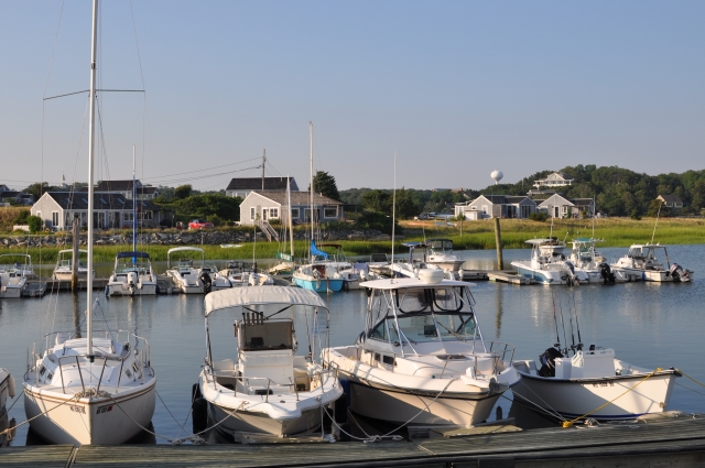 wellfleet.jpg