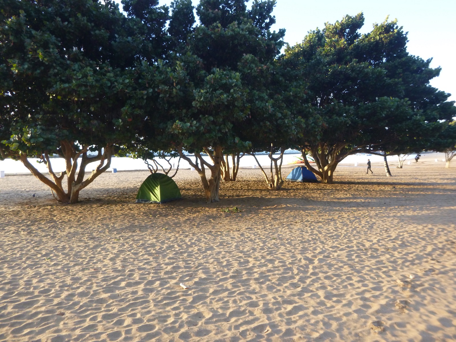 P1210532.JPG