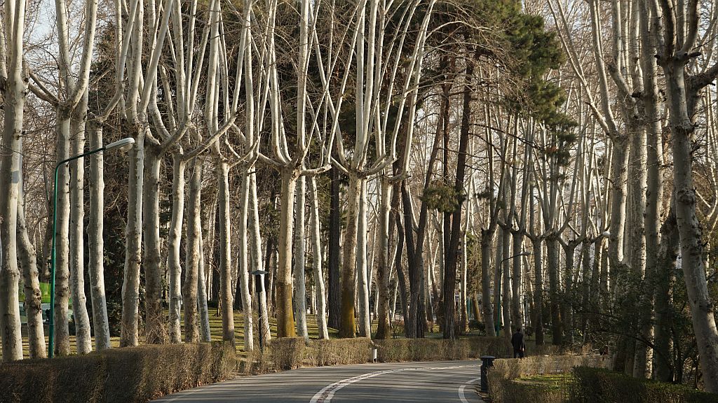 DSC09915.JPG