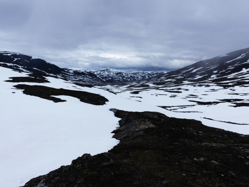 P1000290a.JPG
