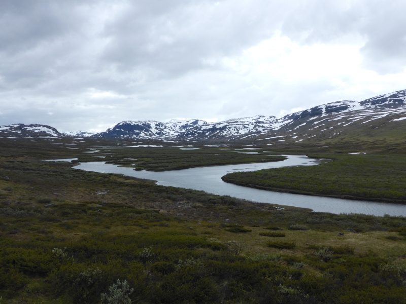 P1000298.JPG