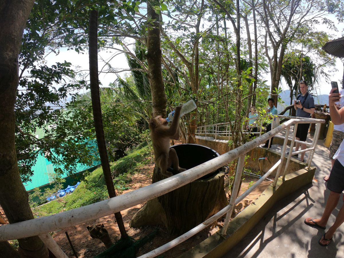 GOPR0370.JPG