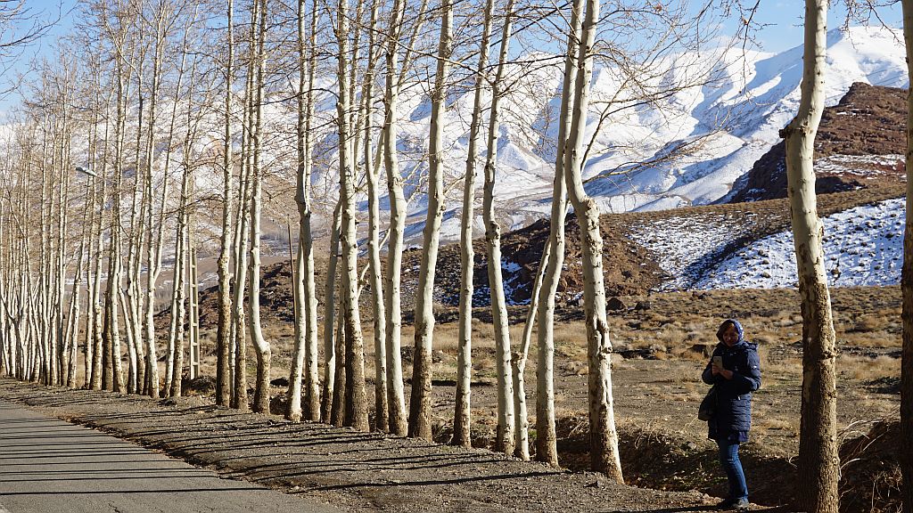 DSC01616.JPG