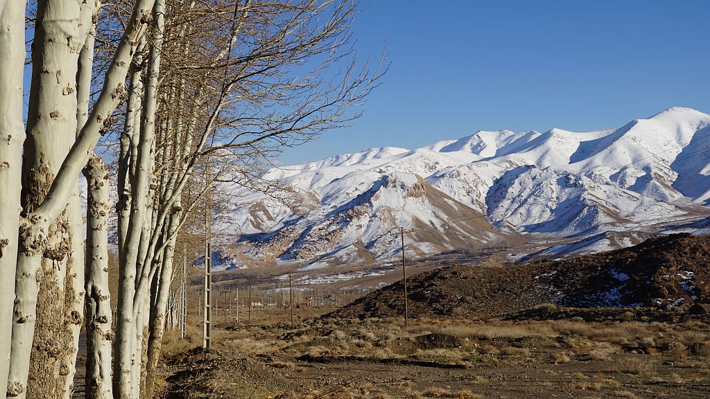 DSC01617.JPG