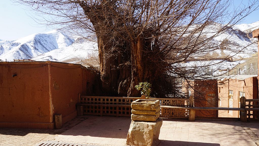DSC01676.JPG