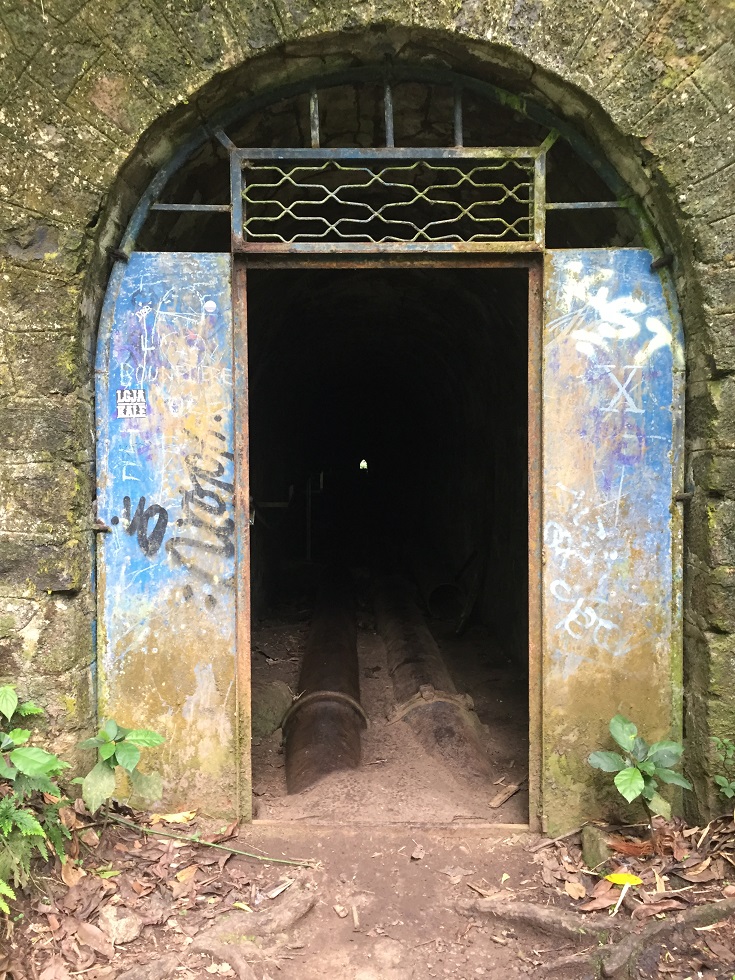 tunel.jpg