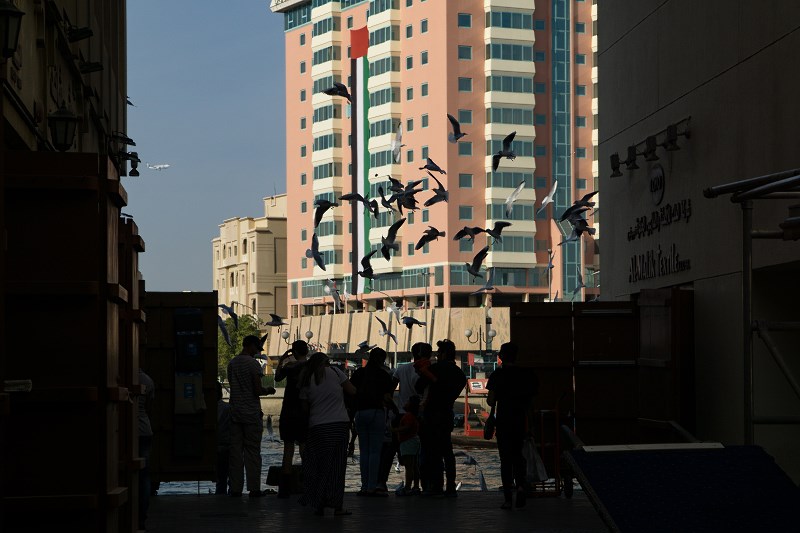 DSC09747-Resizer-800.jpg