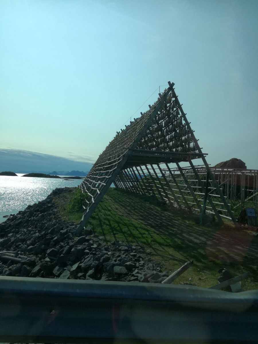 20190603_161806.jpg
