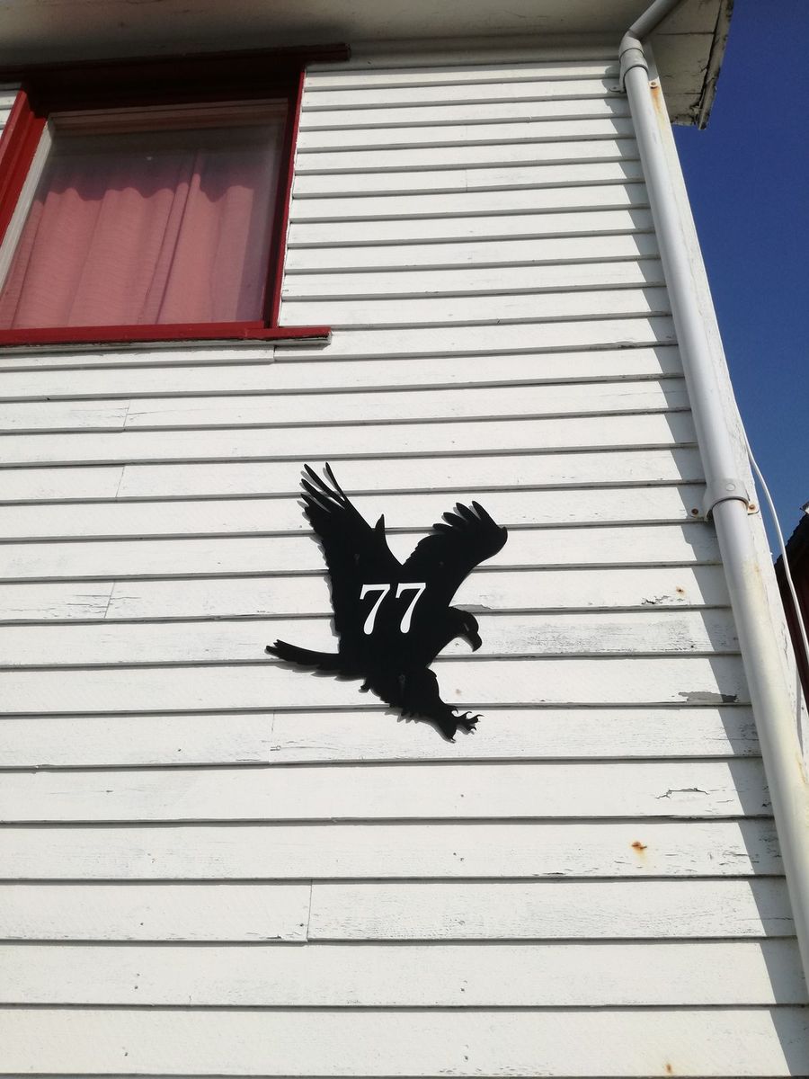 20190603_173530.jpg