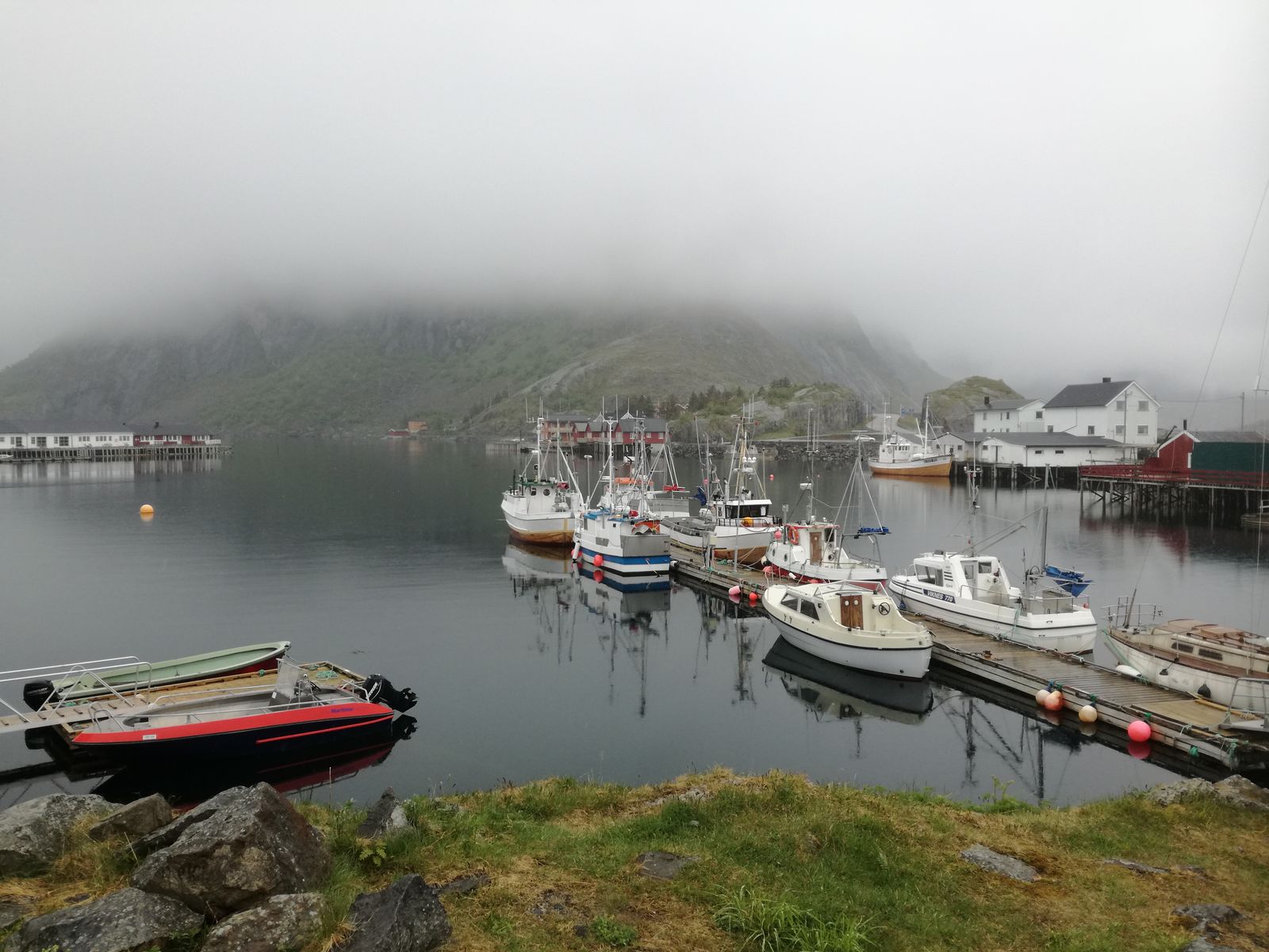 20190604_142010.jpg
