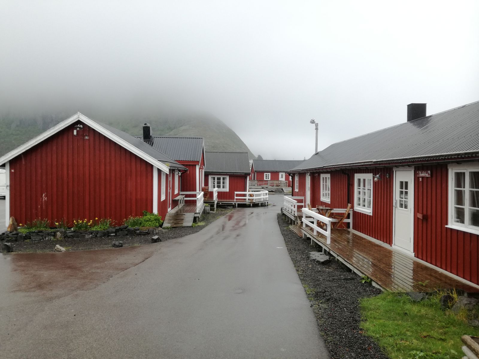 20190604_142611.jpg