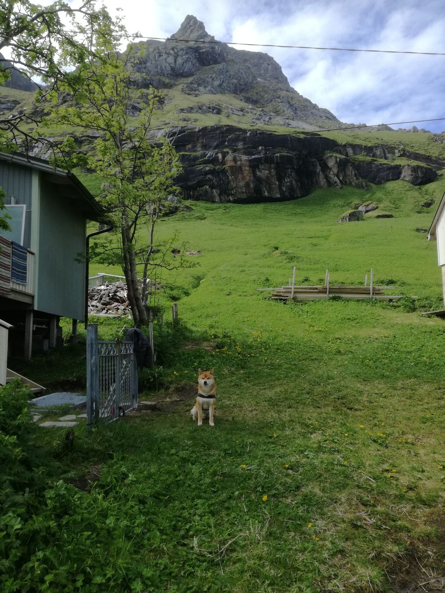 20190605_124539.jpg