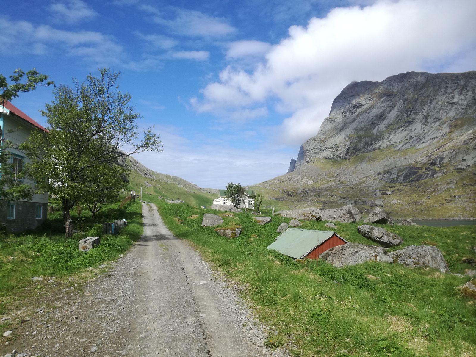 20190605_125214.jpg