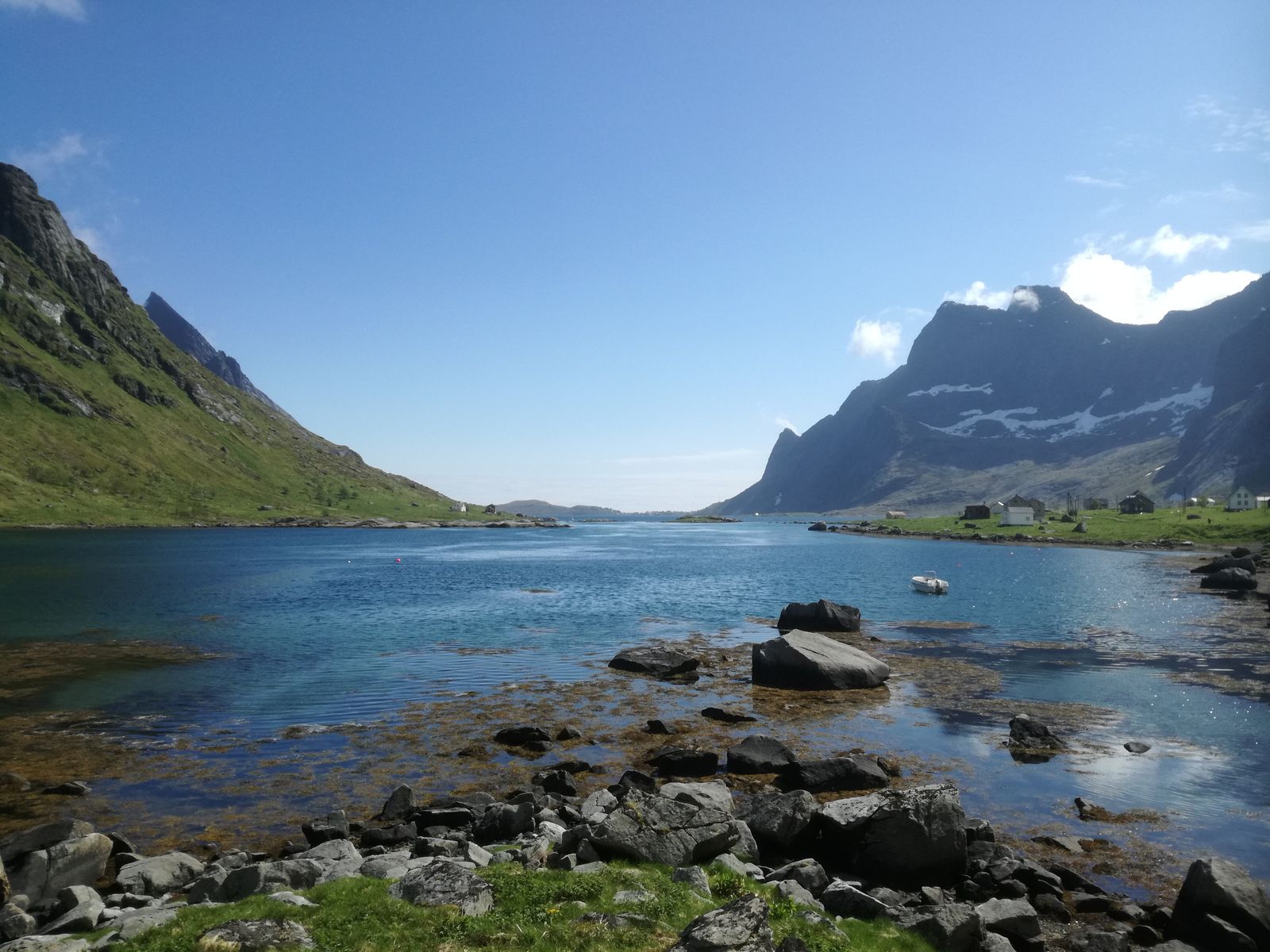 20190605_131230.jpg